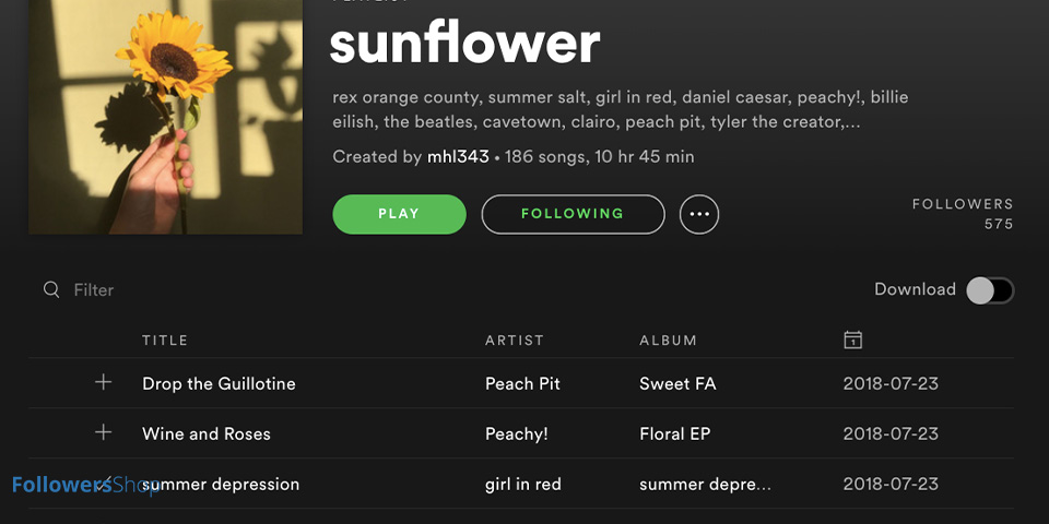 Spotify Playlist Picture 