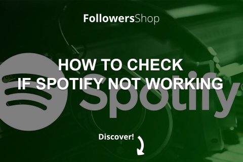 How to Check If Spotify Not Working