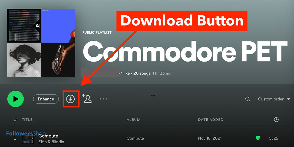 How to Download Songs from Spotify ?