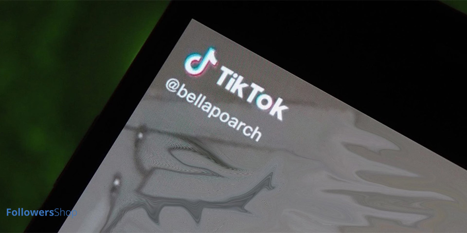 TikTok Watermark