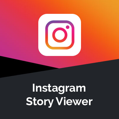 Instagram Story Viewer