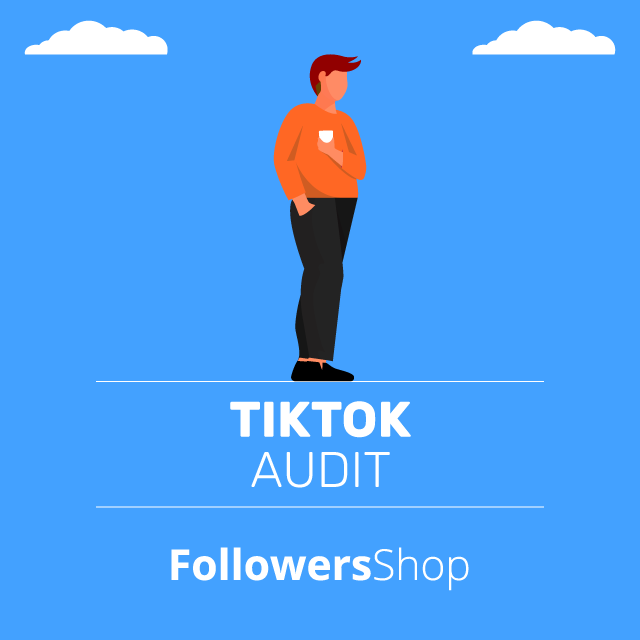 TikTok Audit