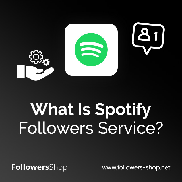 what-is-spotify-followers-service