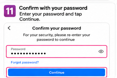 Instagram password confirmation screen with a password field and Continue button