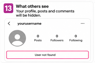 Instagram profile showing 'User not found' with 0 posts, followers, and following after deactivation